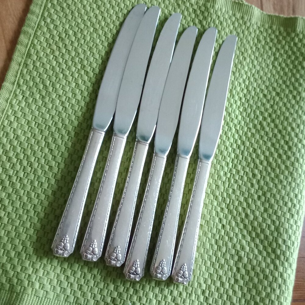 Bordeaux Dinner Knives/6 pc
